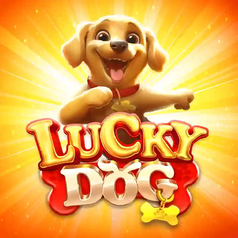 Lucky Dog