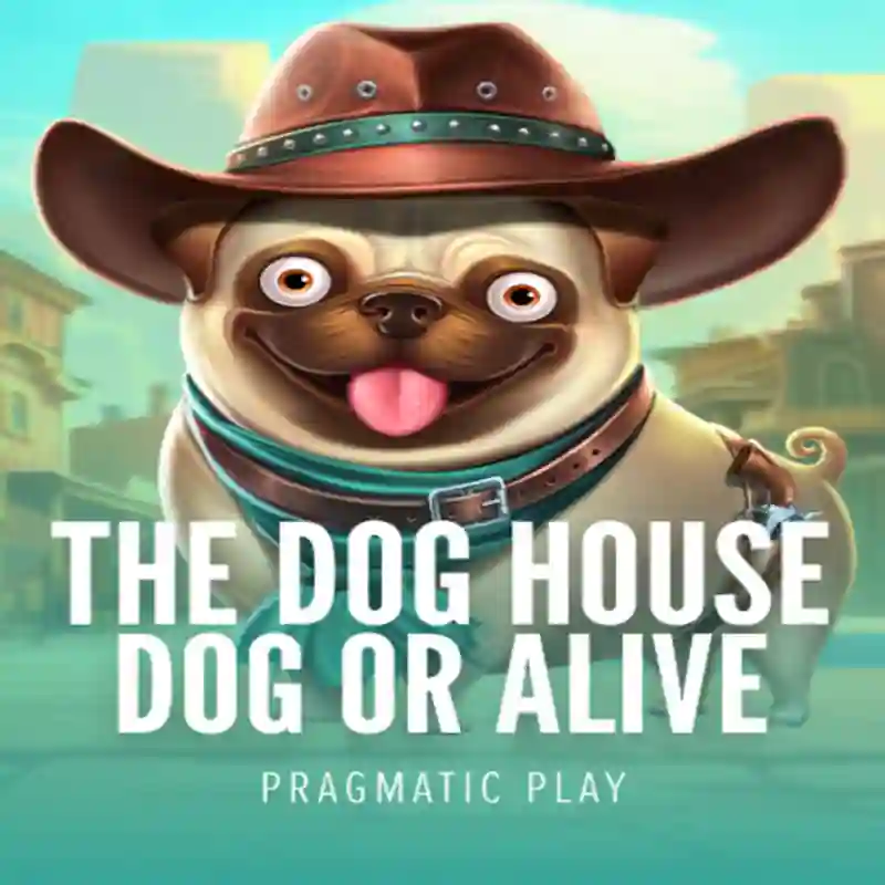 Juego Dog House Dog & Alive en chillbet